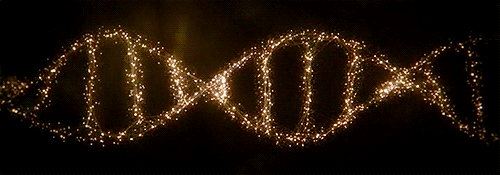 Resultado de imagem para DNA gif